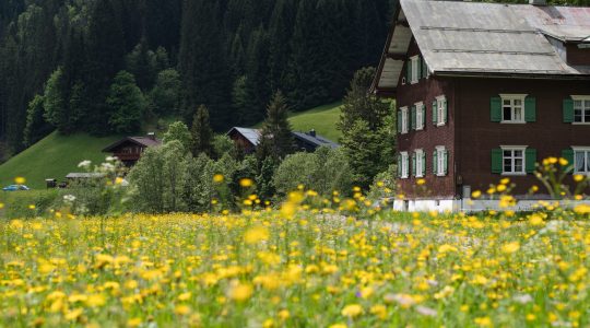 Wandelen in wandelparadijs Kleinwalsertal