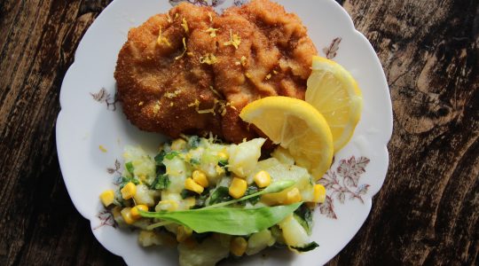 Holy Schnitzel! Holy Schnitzel!