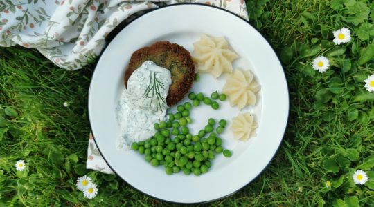 Vegetarische Schnitzel uit eigen keuken Vegetarische Schnitzel uit eigen keuken